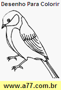 Desenho Para Colorir Ave