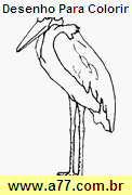 Desenho Para Colorir Passarinho