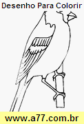 Desenho Para Colorir Ave
