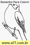 Desenho Para Colorir Pássaro