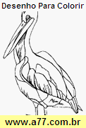 Desenho Para Colorir Passarinho