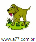 Cachorro