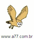 Coruja