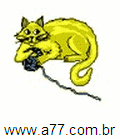 Gato