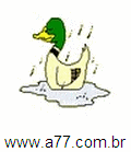 Pato