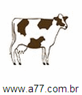 Vaca