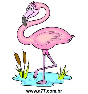 Flamingo na Lagoa