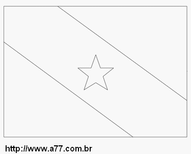 Bandeira do Pará Para Colorir