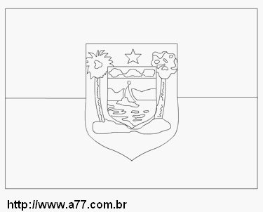 Bandeira do Rio Grande do Norte Para Colorir