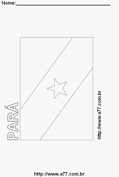 Bandeira do Pará Com o Nome do Estado em Letra Vazada