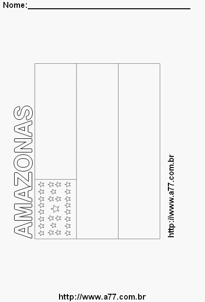 Bandeira do Amazonas Com o Nome do Estado em Letra Vazada