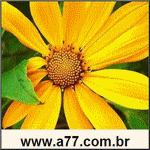 Quebra Cabeça Flor Colorida