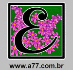 Quebra Cabeça Com a Letra E